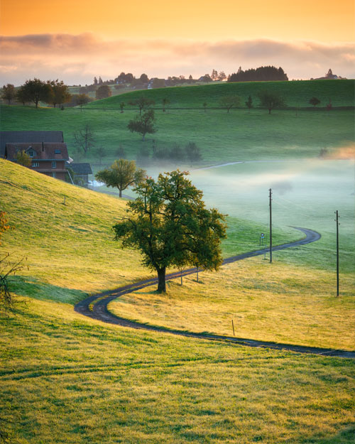 Calming landscape to welcome victims of crime counselling victoria by Holly